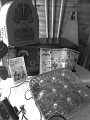 Jess_PoPCS-FBFieldTrip_3-2017 (24)